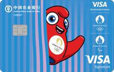 农业银行Visa全球支付白金信用卡（奥运版）